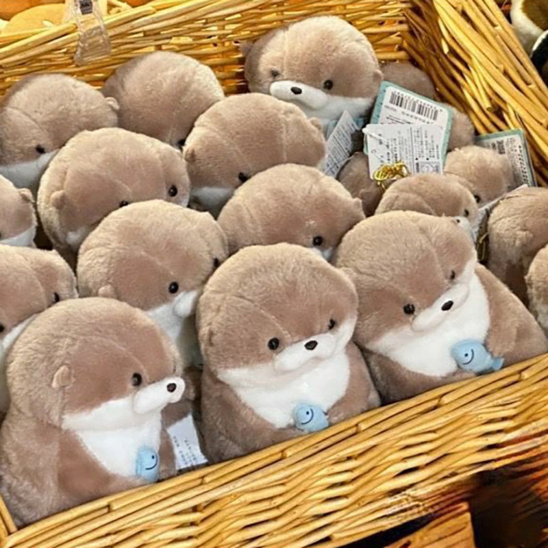 ✨Siêu dễ thương!-Gấu bông mini rái cá ôm CÁ Con dễ thương PHIÊN BẢN GIỚI HẠN