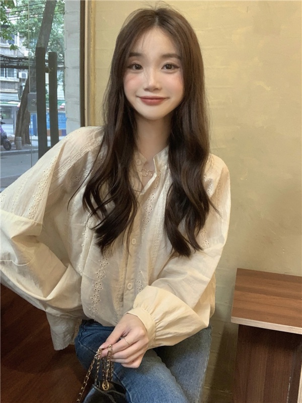 Áo Sơ Mi Dài Tay Cổ Tròn Thêu Họa Tiết Với Thiết Kế Dáng Rộng Xinh Xắn Dành Cho Nữ 6