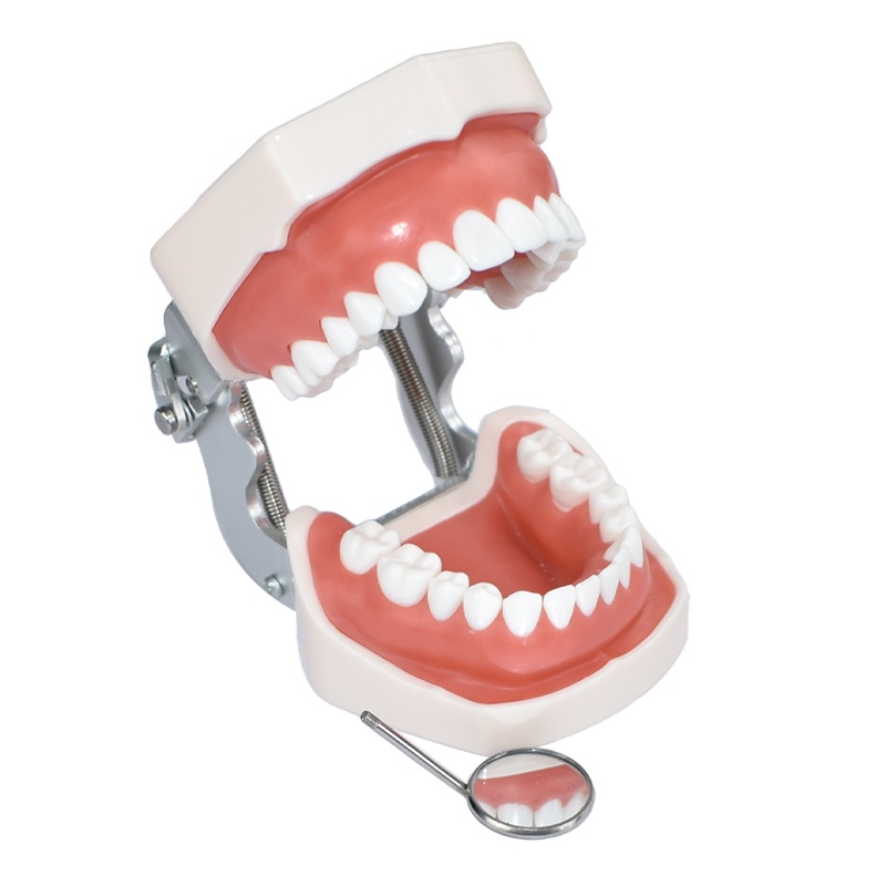 Bộ 12 Gương Nha Khoa 5 # Chống Sương Mù Bằng Thép Không Gỉ