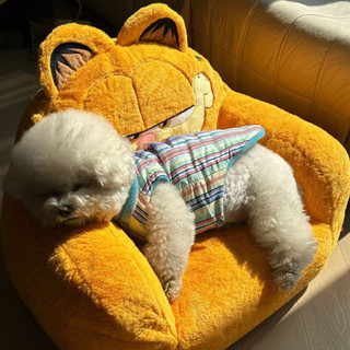 Mèo Và Chó Mùa Thu Đông Áo Ấm Áp Maltese Bichon Teddy Áo Cotton Dễ Thương Phong Cách Mới