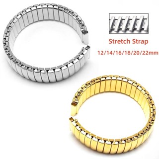  Dây Đeo Đồng Hồ Bằng Thép Không Gỉ Co Giãn 12mm 14mm 16mm 18mm 20mm 22mm 