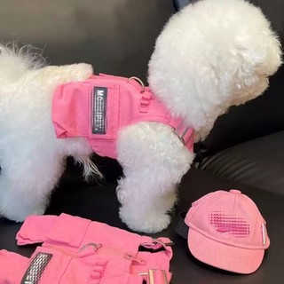 Barger Teddy Chó Mèo Quần Áo Có Vòng Kéo Chó Nhỏ Mùa Hè Mỏng Áo Nơ Mùa Hè Mới