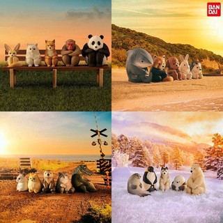 Bandai BANDAI Viên Đồ Chơi Là Bồ Câu Giữ Đầu Gối Ngồi Gấu Trúc 2 Cá Mập Cá Sấu Pug 3 Shiba Inu Thỏ 4 Núi Sparrow