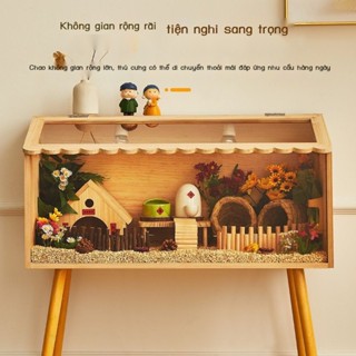 Rutin Giống Gà Hộp Chăn Nuôi Bộ Hoàn Chỉnh Của Hộ Gia Đình Gà Thú Cưng Ấp Hộp Nhà Biệt Thự Tủ Chăn Nuôi Cảnh Lồng