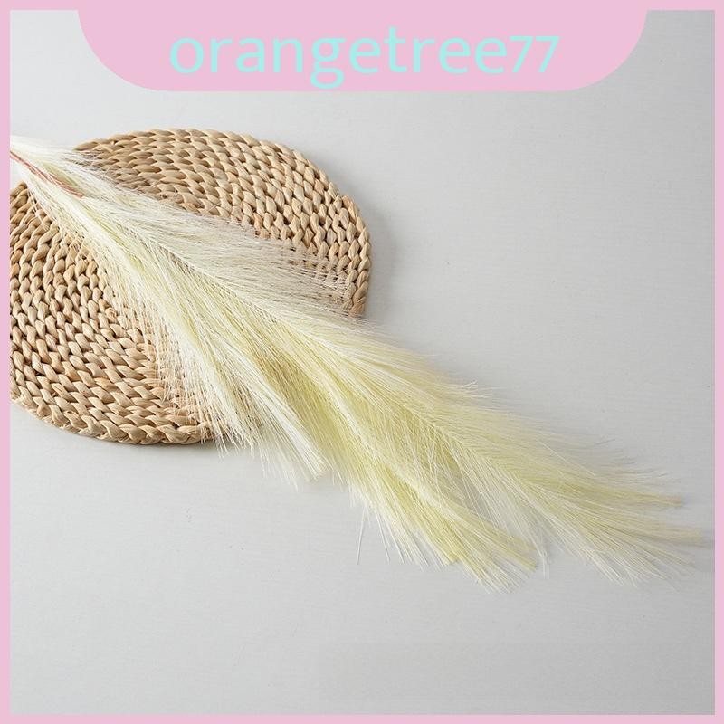 Phragmites Australis Giả Với Lông Vũ Nhiều Màu Sắc Để Trang Trí Nhà Phông Nền Và Chụp Ảnh