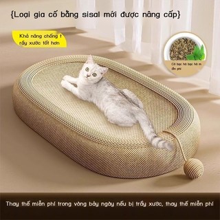 Sisal ván gãi chịu mài mòn không rụng dây gai dầu tích hợp móng vuốt mèo đồ chơi mèo đa năng trầy xước ban lưu vực