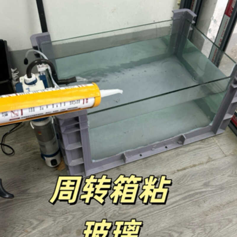 Olia 888 Cấu Trúc Keo Ngói Rùa Ao Cấu Trúc Keo Chịu Thời Tiết Keo Kín Chống Thấm Nước Đen Trắng Tron