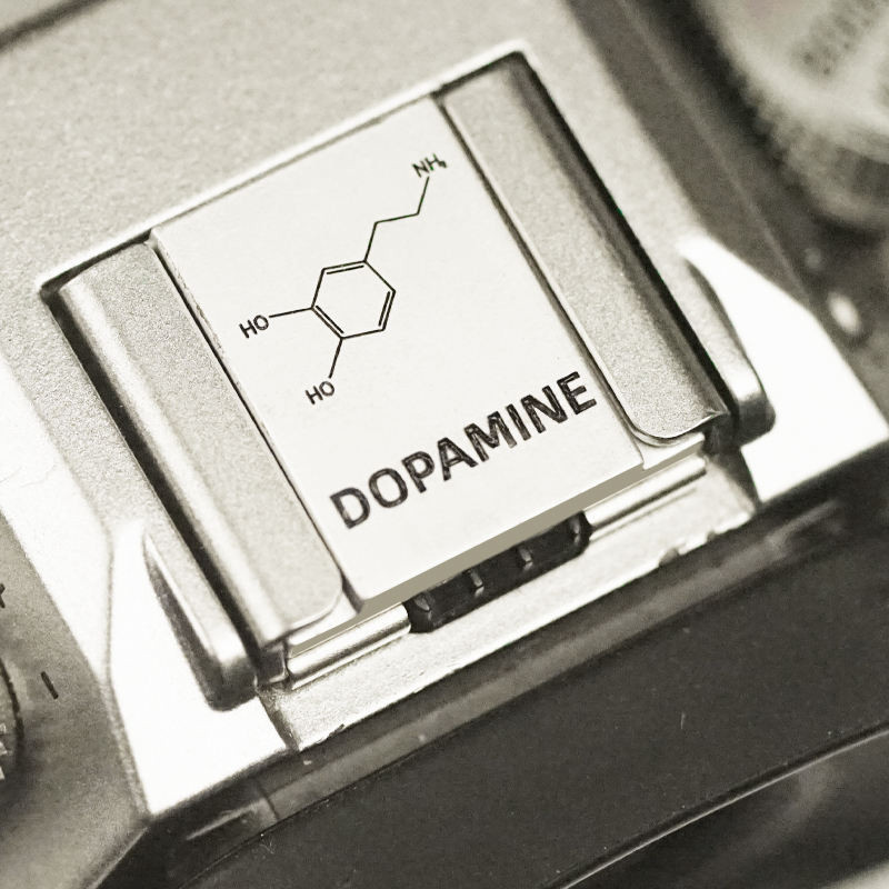 Thích hợp cho Nikon Z9 / Z8 / Z72 / Z50 Hot Shoe Cover Canon R10 / M50 / R50 Universal Hot Shoe Seag