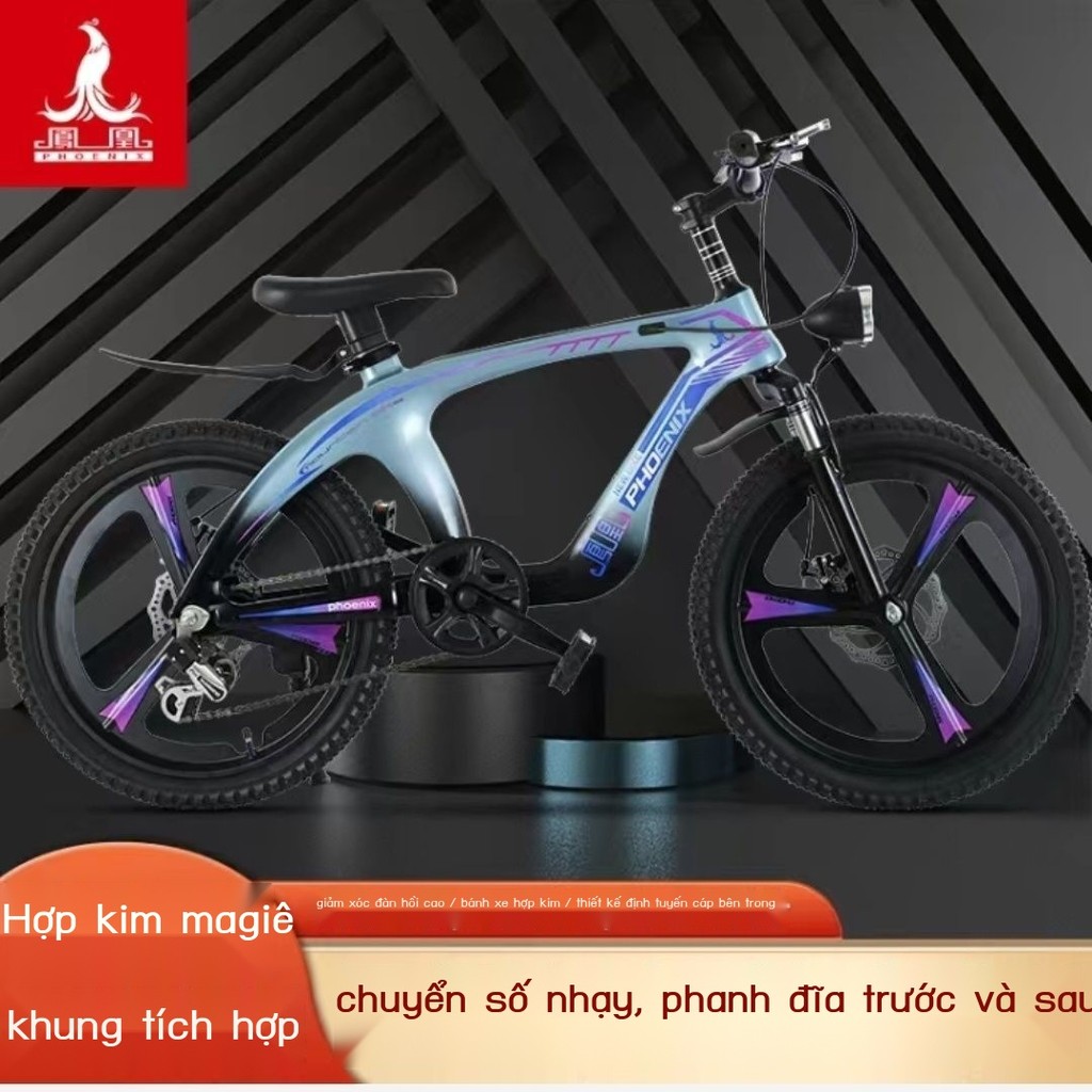 [HOT HIT] Xe đạp trẻ em thương hiệu Phoenix, xe đạp bé trai, xe đạp trẻ em, 6-12 đến 15 tuổi, xe đ