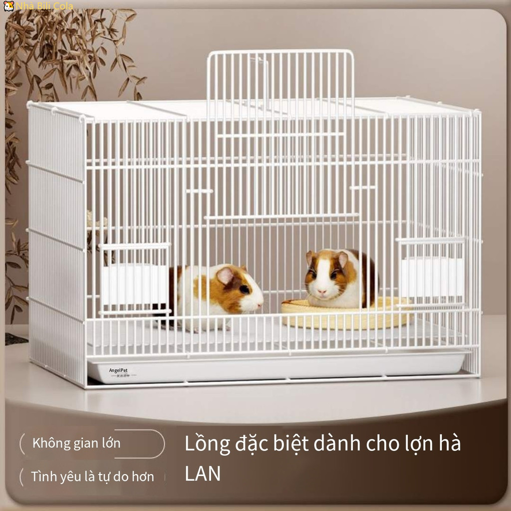 Trong kho Lồng chuột lang lùn biệt thự chuột lang trong nhà lồng chuyên dụng lưới thép làm tổ cho th