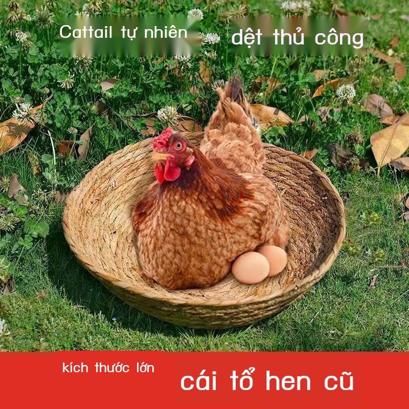 [ 𝐇𝐎𝐓 𝐃𝐄𝐀𝐋] Ổ gà lớn cho đẻ trứng, giữ trứng, ấp trứng, chim bồ câu, thỏ, chuột lang, chim c