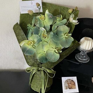 Ins Niche Phalaenopsis Meet Bó Hoa Thành Phẩm 520 Quà Tặng Ngày Lễ Tình Nhân Cho Bạn Gái Bạn Gái Quà Tặng Ngày Của Giáo Viên