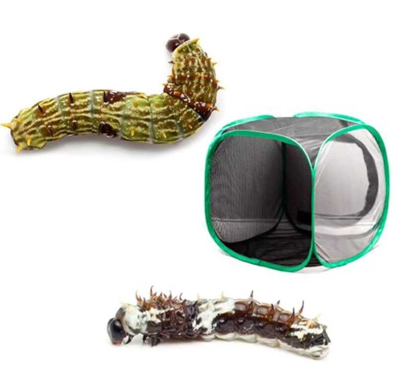 Pop Up Lưới Bò Sát Và Bướm Habitat Cage, Bướm Release Cage