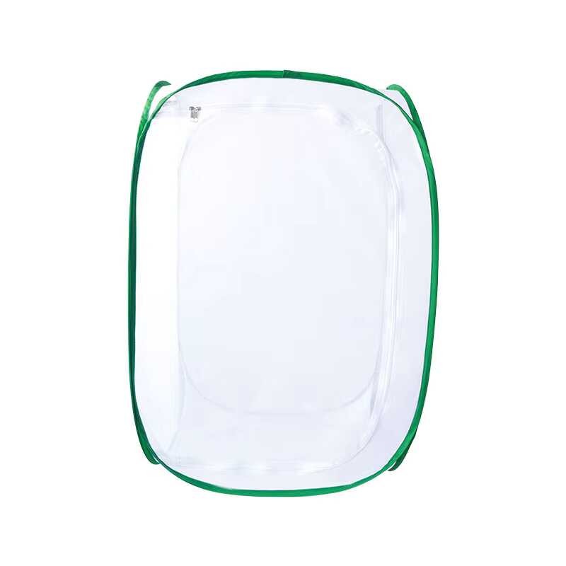 Và Habitat Terrarium Pop Up Butterfly Growth Kit Lồng Côn Trùng