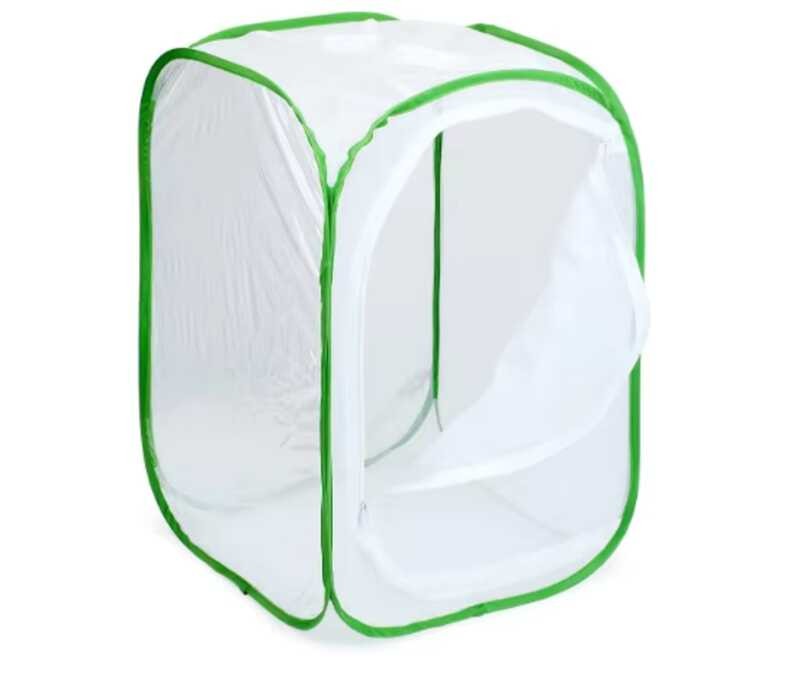 Bướm Chuyên Nghiệp Habitat Côn Trùng Cage Caterpillar Hàng Rào