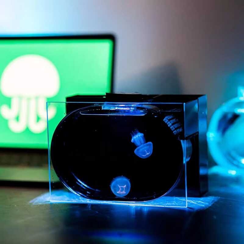 Giảm Giá OEM Custom Desktop Acrylic Aquarium 2.8L Jellyfish Douta USB Power Supply Bể Cá Nhỏ