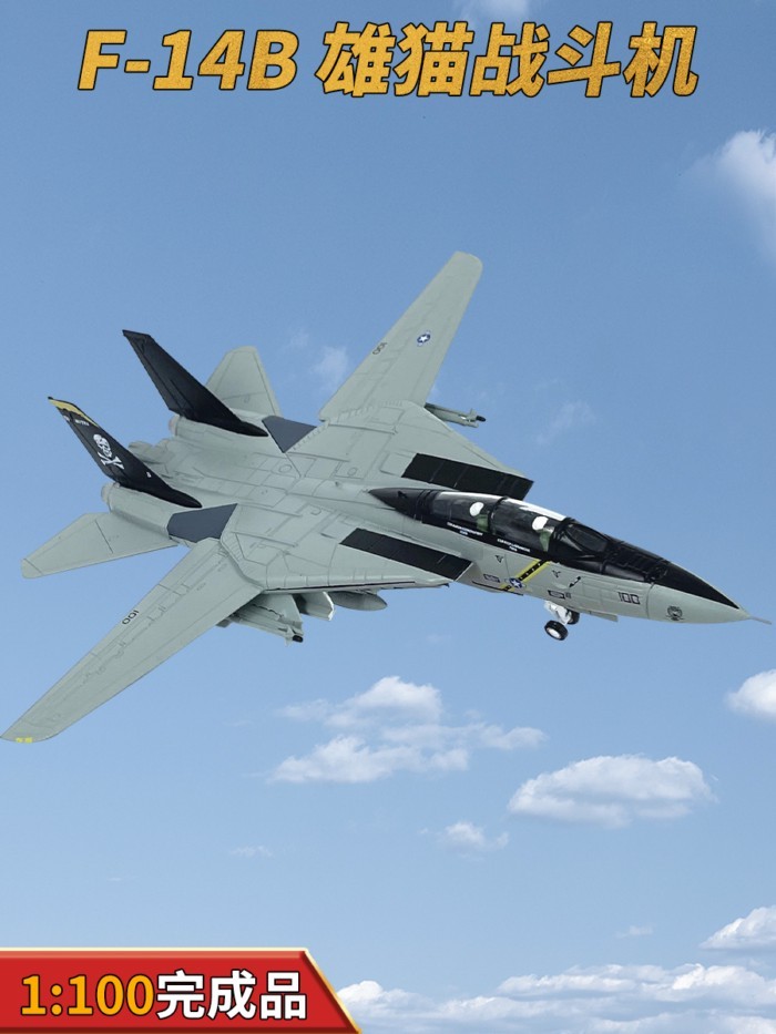 1: 100 Mỹ F-14B Hàng Xóm Của Tôi Tomcat Fighter Hợp Kim F14 Máy Bay Mẫu VF-103 Cờ Cướp Biển Phi Đội 