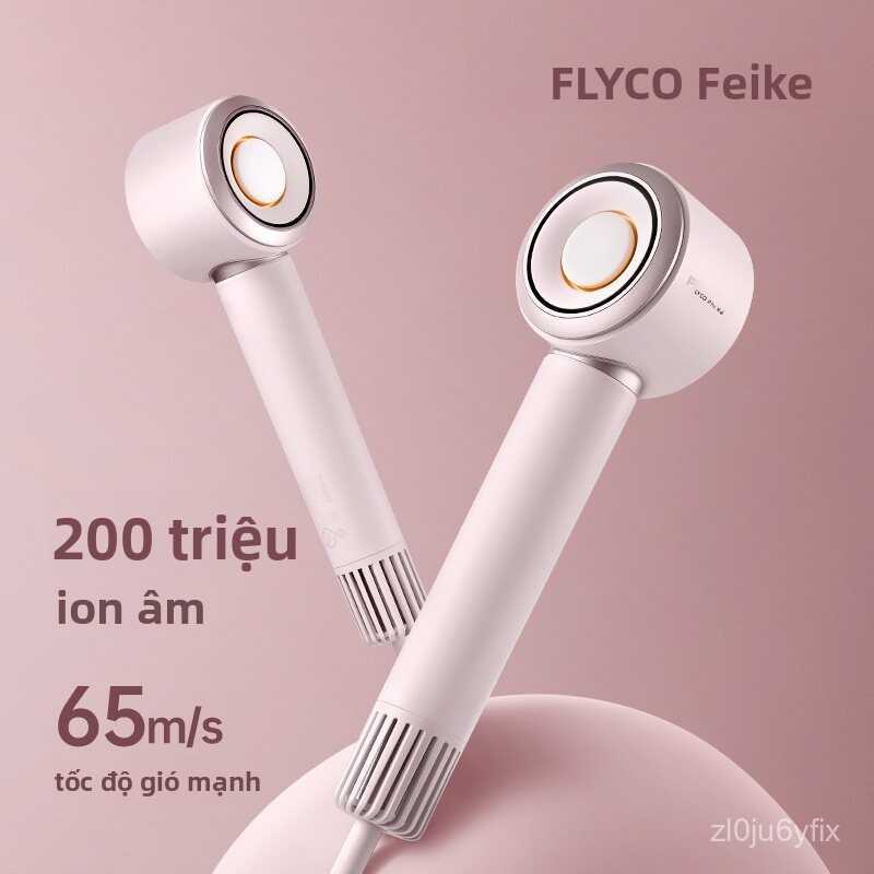 Máy sấy tóc tốc độ cao Feike, máy chăm sóc tóc ion âm cho gia đình, quà tặng cho bạn gái, mẫu mới FH