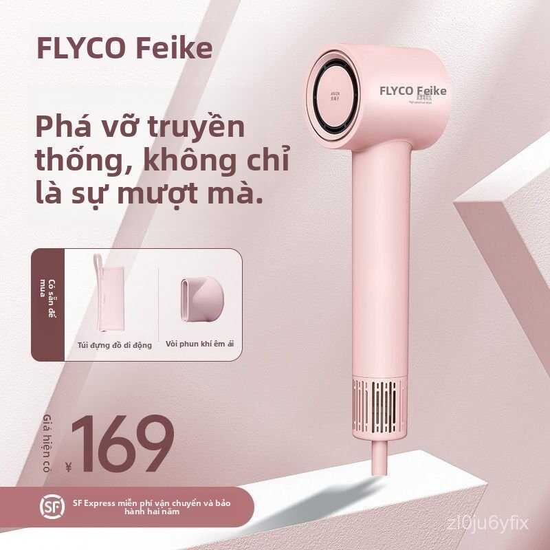 Feike Máy Sấy Tóc Mới Gia Đình Ion Âm Chăm Sóc Tóc Công Suất Gió Sấy Nhanh Ít Tiếng Ồn Máy Sấy Tóc Đ