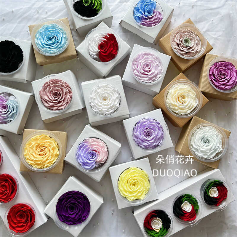 Bảo Quản Hoa Hồng Bảo Quản Hoa Hồng Khổng Lồ Bảo Quản Hoa Hồng Đầu Hoa Hồng Quá Khổ Đầu Hoa Hồng Vỏ 