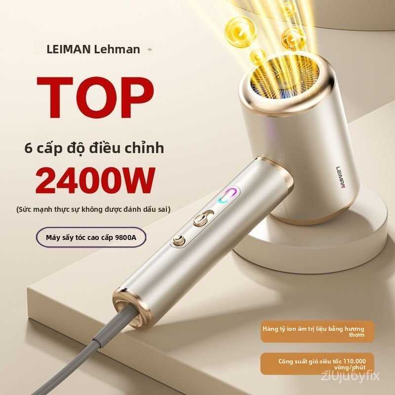 【Tóc khô nhanh】Leiman Máy Sấy Tóc Lehman, Máy Sấy Tóc Công Suất Lớn, Tiệm Làm Tóc Nóng Và Lạnh, Ion 