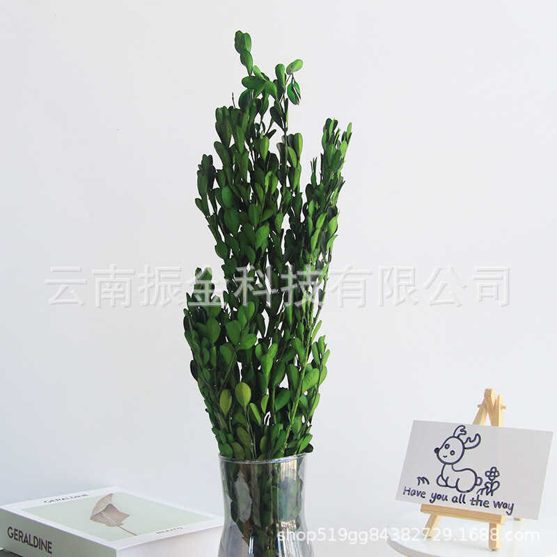 Hoa Bảo Quản Bảo Quản Lá Nhỏ Gỗ Hộp Hoa Khô Bó Hoa Mười Ngàn Năm Aomori Phong Cách Handmade Trang Tr