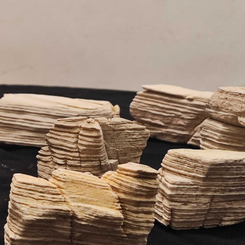 Đá Tự Nhiên Bể Cá Cảnh Quan Đá Rockery Micro Phong Cảnh Sa Mạc Xem Đá Melaleuca Sa Mạc Cảnh Quan Xem