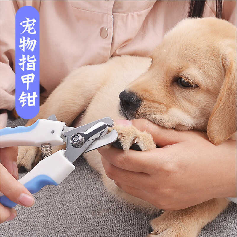 Thú Cưng Nail Clippers Nail Polisher Dog Nail Clippers Cat Nail Clippers Nail Clippers Đồ dùng cho t