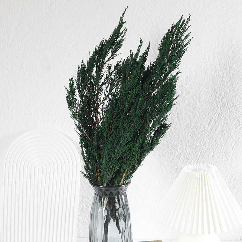 Giáng Sinh Bất Tử Thông Cypress Tròn Staghorn Hoa Khô Flat Side Cypress DIY Chất Liệu Nến Thơm Chụp 