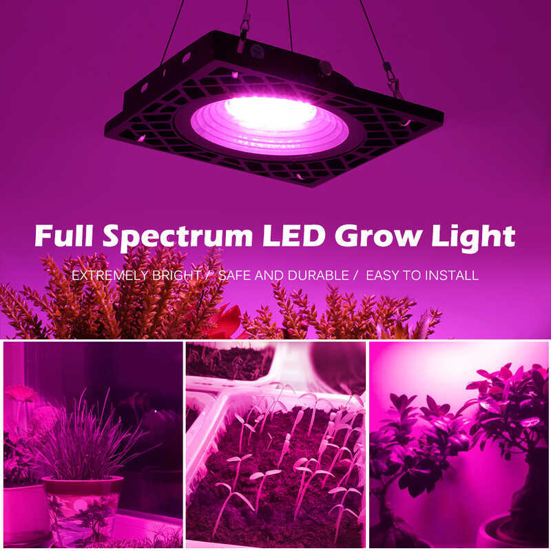 Mô hình riêng tư Đèn tăng trưởng thực vật tổ ong LED Full Spectrum Đèn pha 50W Đèn pha trồng hoa mọn