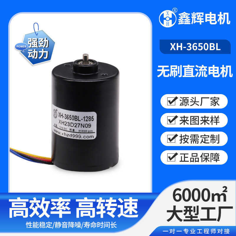 3650 Micro Motor Điện áp thấp Công suất cao Công cụ công suất cao Quạt hút bụi Động cơ DC không chổi