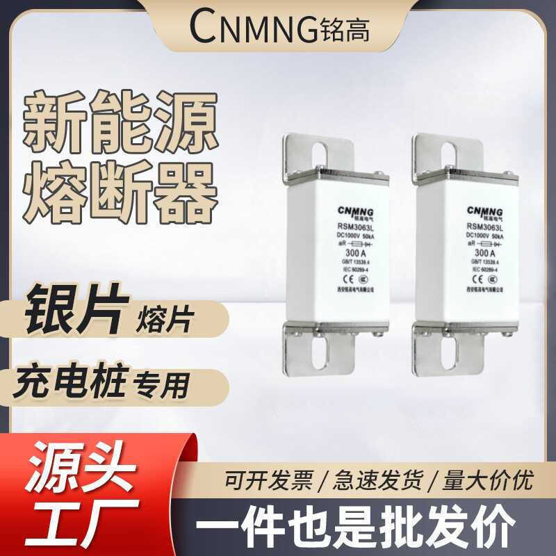 R RSM3063LMEV-P / RSY-170M0 Cầu chì ô tô năng lượng mới DC1000V DC Cọc sạc 400