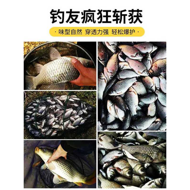 Axit Trái Cây Nồng Độ Cao XinDian B2 - Thuốc Nhỏ Câu Cá Thu Hút Cá Hoang Dã Và Chép