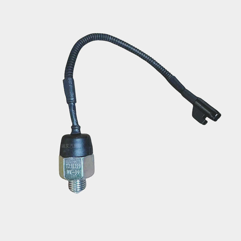 Thích hợp cho J6F Tiger VH Lin V Xe tải nhẹ Hộp số Wanliyang Công tắc đảo chiều ánh sáng WK-39