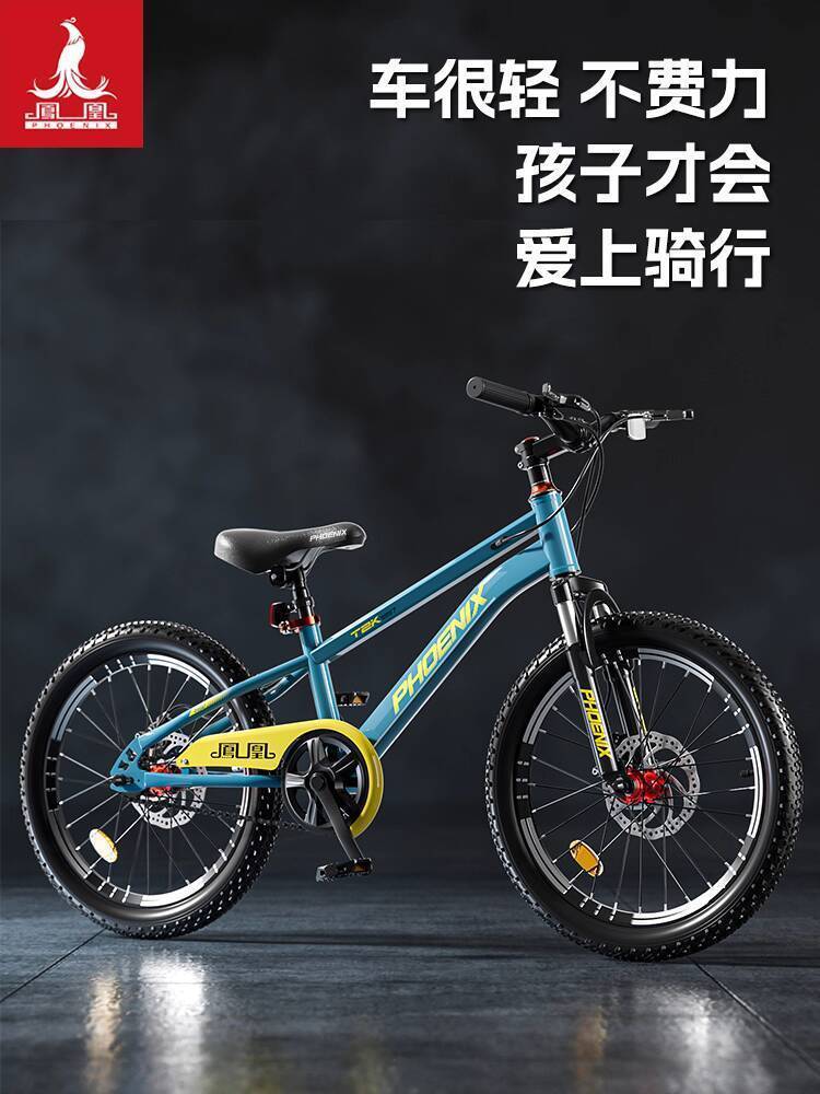 Xe đạp trẻ em Phoenix gái 10 đến 15 tuổi và bé trai từ 6-8-12 tuổi, mẫu mới 2025, được thiết kế đặc