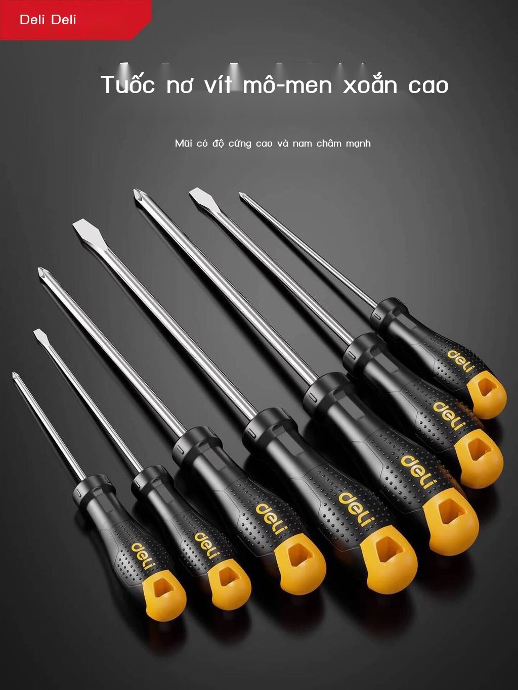 [HÀNG MỚI VỀ] Bộ công nghiệp Deli Tool, độ cứng cao, Phillips và đầu phẳng, từ tính mạnh, bộ tua v