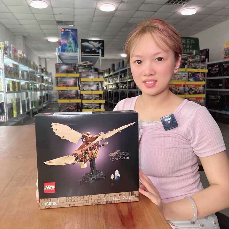 LEGO 10363 Máy bay của Leonardo da Vinci