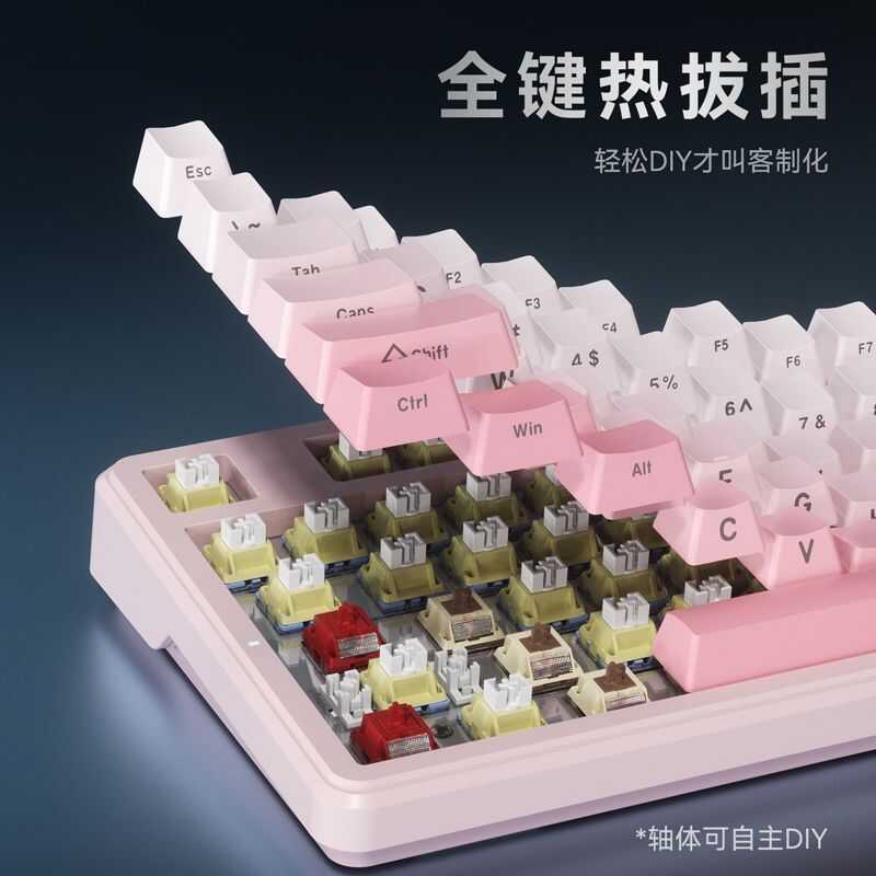 Bàn cơ AJAZZ MK87 tùy chỉnh, được lấp đầy hoàn toàn bằng các phím có thể thay thế nhanh chóng, dung 