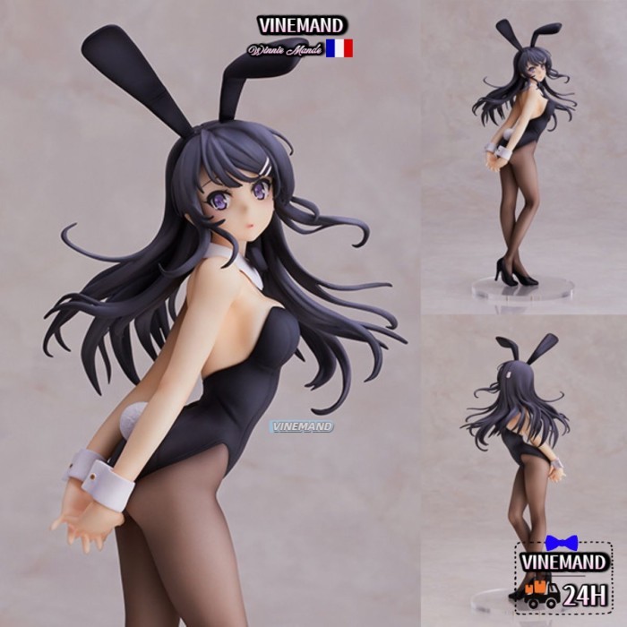 Adolescent Idiot, Bunny Girl Senpai's Dream, Mai Sakurajima, 2D Sexy, Đóng hộp, Nhân vật, Đồ trang
