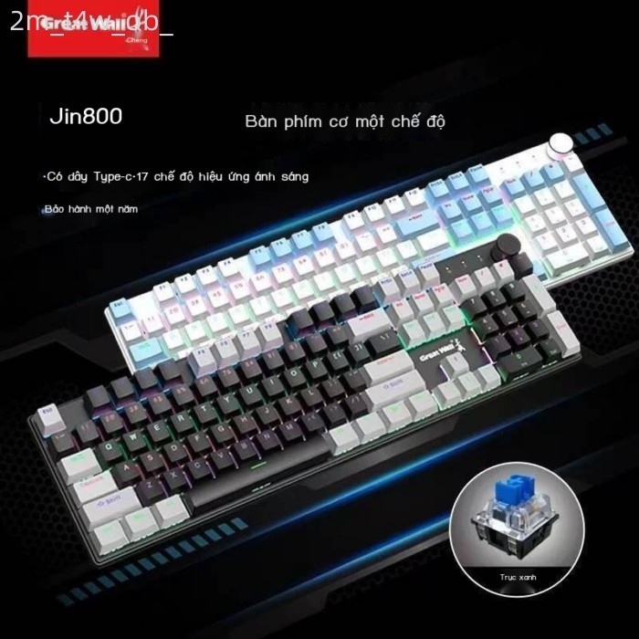 [ 𝐇𝐎𝐓 𝐃𝐄𝐀𝐋] Bàn Great Wall GT800 Blue Switch, cơ có dây chơi game trên máy tính, bàn phím mà
