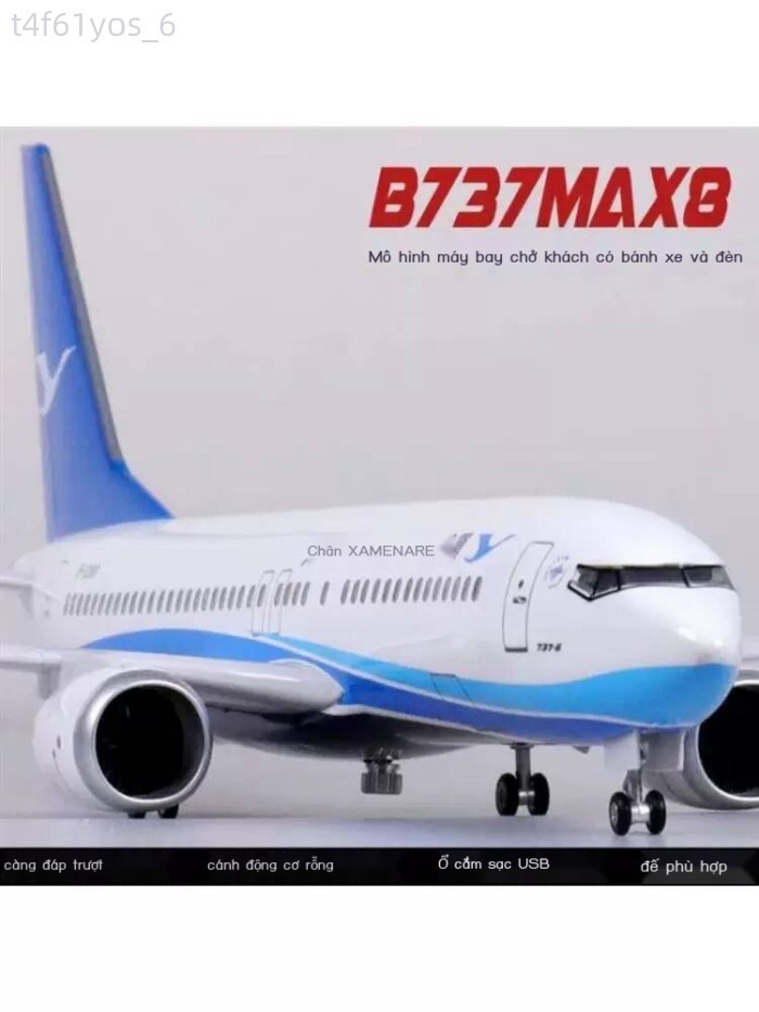 [ Siêu Tiết kiệm] Boeing 737MAX8, Miền Nam Quốc tế Trung Quốc, Hạ Môn, Hàng Nam, hình máy bay chở k