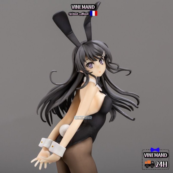 Kho Hà Nội🚚Adolescent Idiot, Bunny Girl Senpai's Dream, Mai Sakurajima, 2D Sexy, Đóng hộp, Nhân vật,