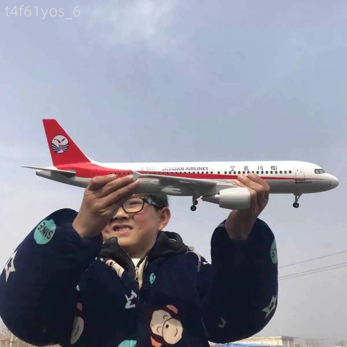 HOT- [ Ảnh thật ] Mô hình A319 có bánh xe và đèn, hãng hàng không Tứ Xuyên 3U8633, mô phỏng thực tế