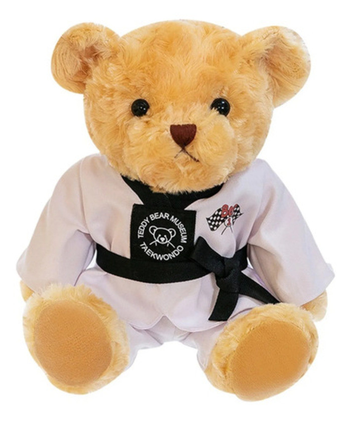 Đồ chơi nhồi bông hình gấu bông Taekwondo 40f