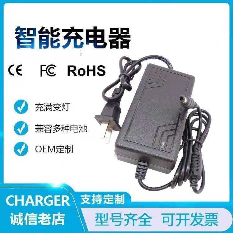 6V Đồ Chơi Ô Tô Chì Axit Lithium Sạc Pin Thích Ứng Cáp Cho Xe Trẻ Em 4Ah 5ah 10AH 2
