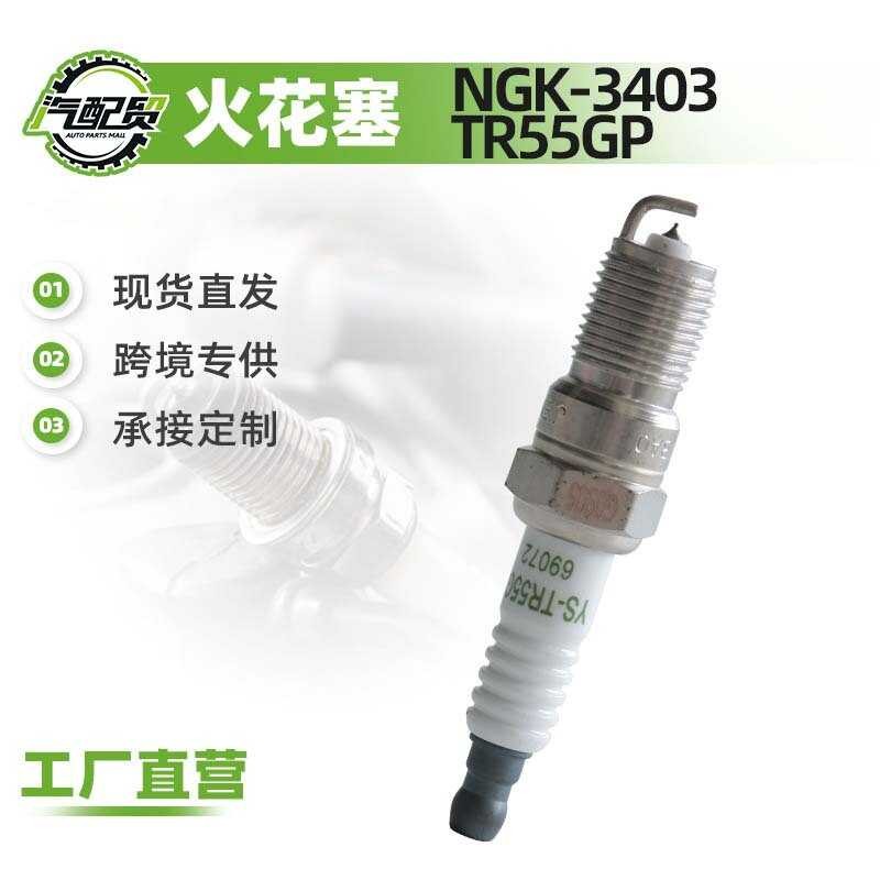69072 Thích hợp cho bugi Fox Iridium NGK-3403 TR55GP