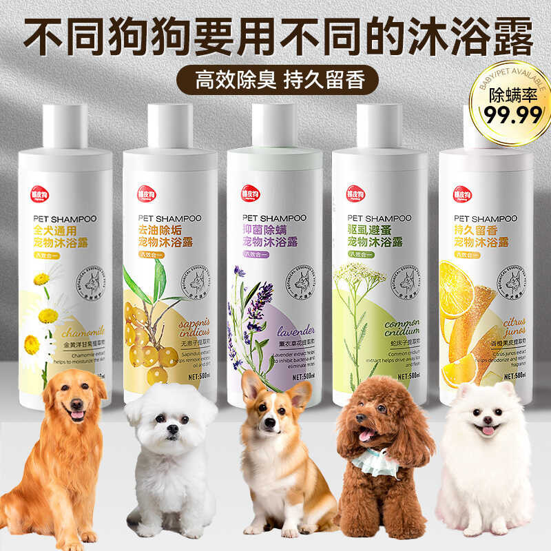 Gel tắm cho chó All-in-One Pet Pet Teddy Pomeranian Khử mùi chuyên dụng Sha