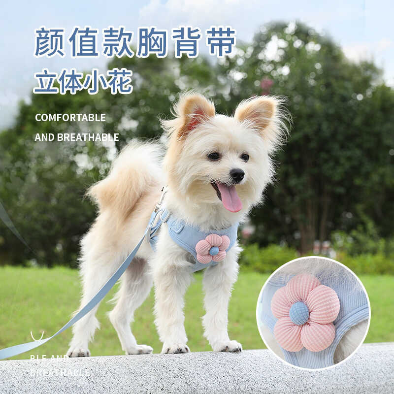 Chó Con Dây Xích Chó Vest Chó Con Nhỏ Teddy Bichon Pomeranian Bichon Dây Đeo Dây Xích Đi Chơi Chó Đi