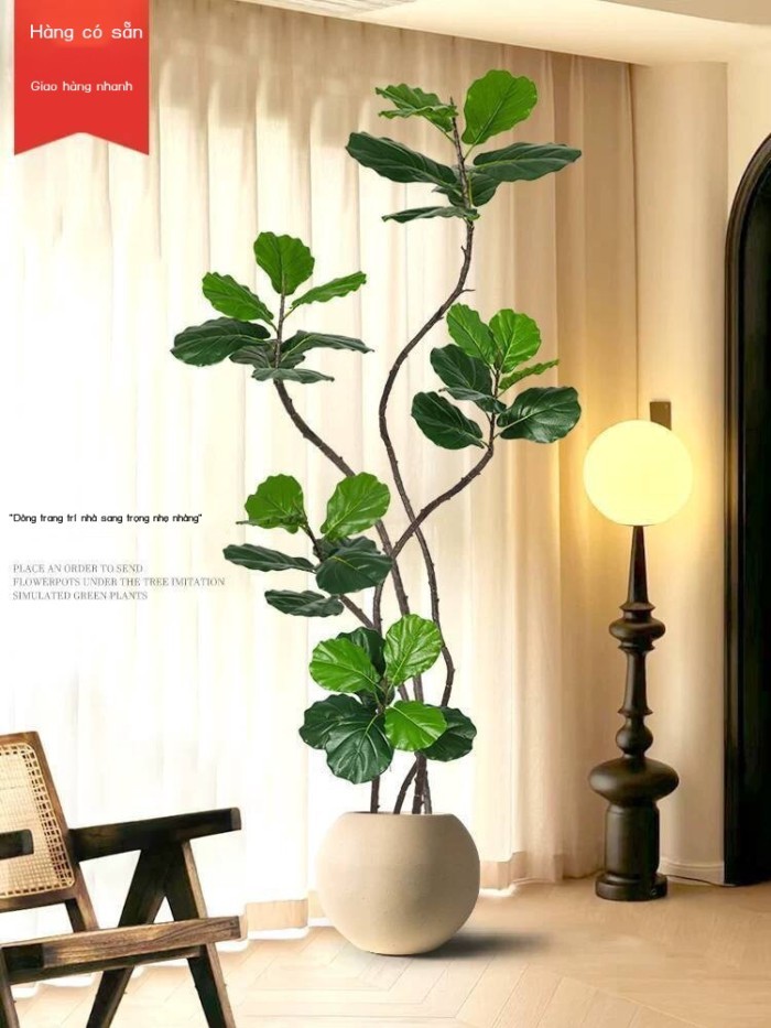 Cây Fiddle Leaf Fig trong chậu lớn, xanh sinh học trang trí phòng khách, cây giả sang trọng nhẹ nhà