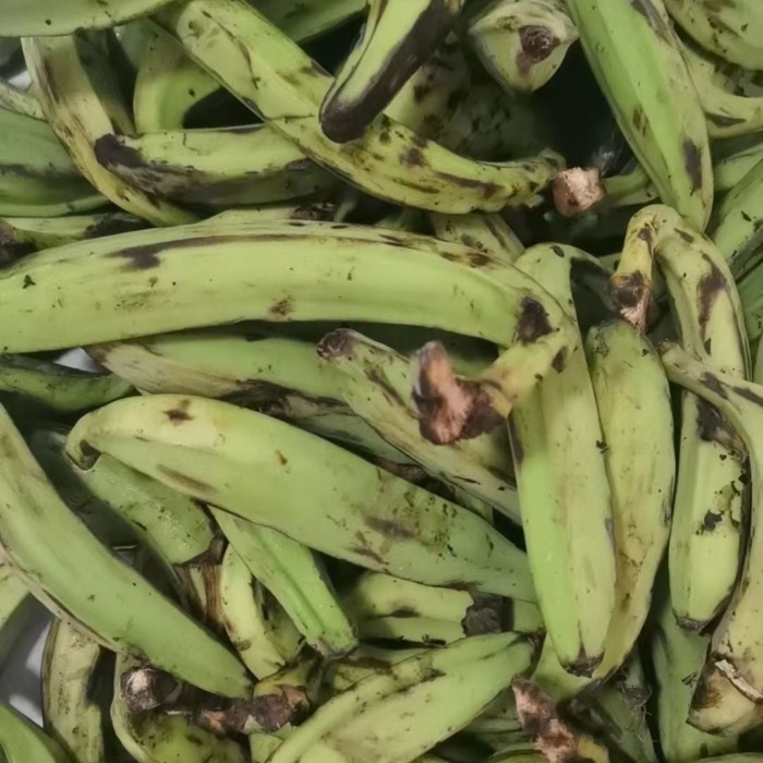 Nigeria Plantain cho cooki Nigeria Plantain Nấu ăn chưa trưởng thành Tươi nguyên bản